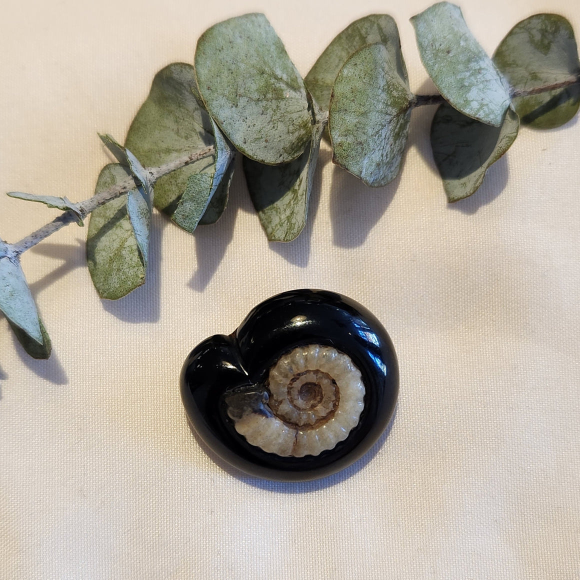 Antique onyx and ammonite pin