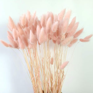 Bunny Tails Rose 16"