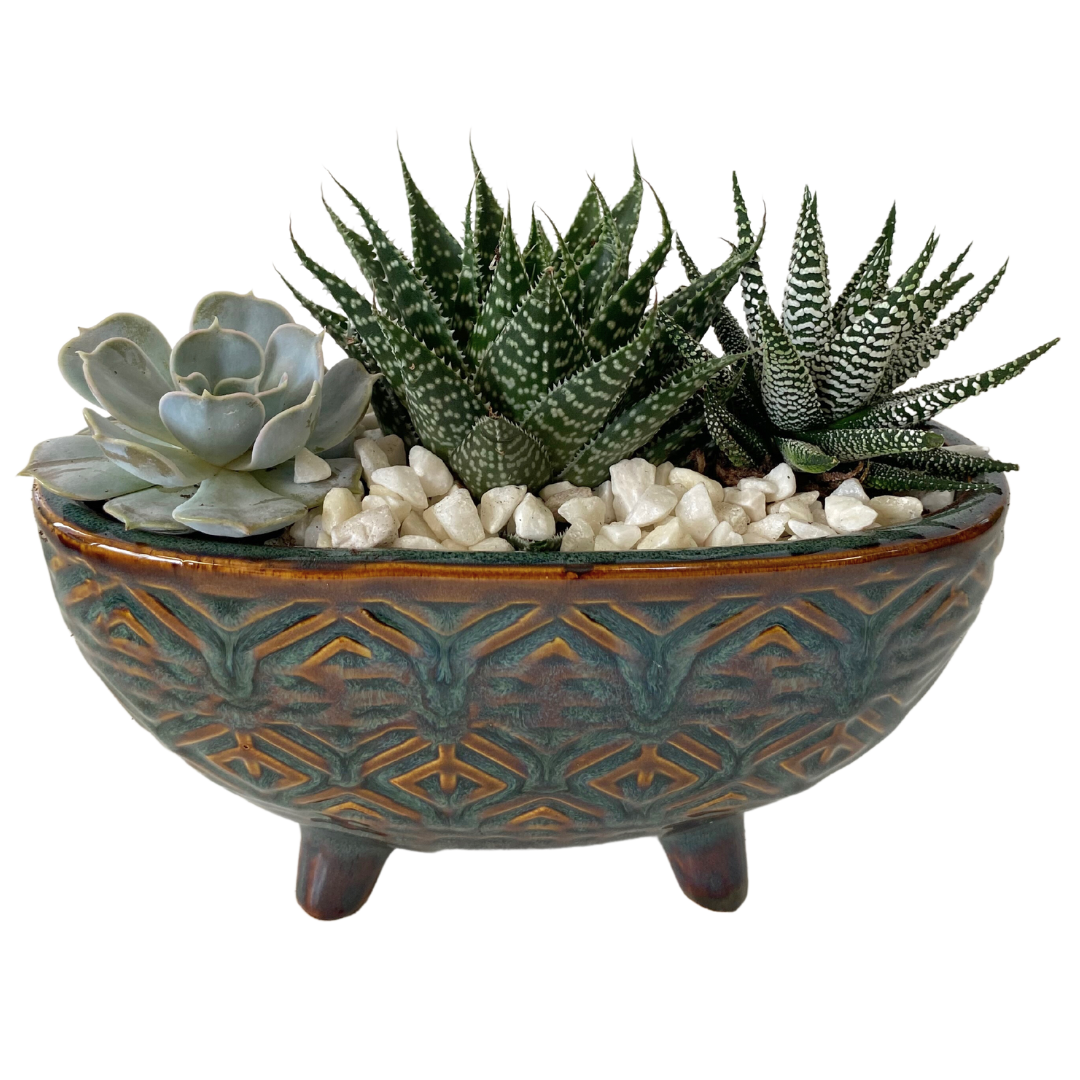 G Teal oval succulent planter with Pedestal