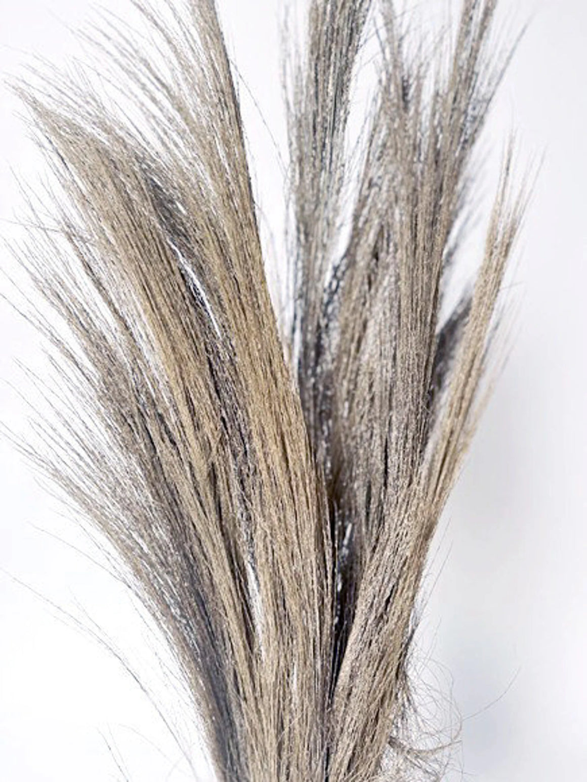 Broom Grass Grey Wash