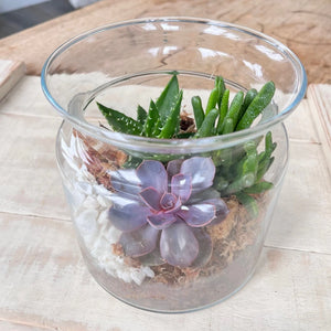 G Succulent Glass Terrarium