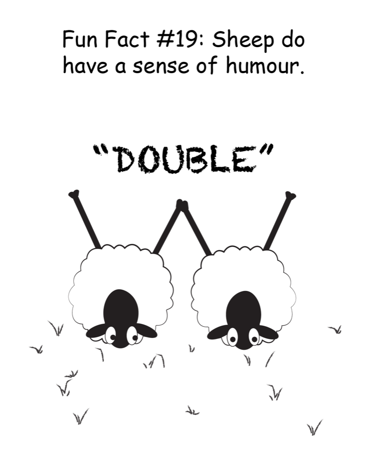 Fun Fact #19: Sheep do have a sense of humour